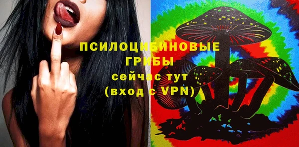 марки lsd Краснослободск