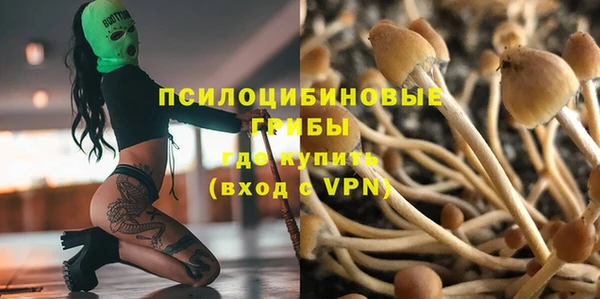 марки lsd Краснослободск