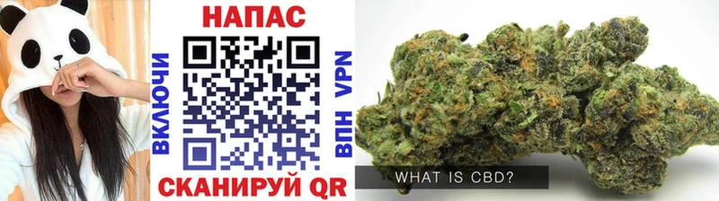 Бошки Шишки Bruce Banner Ачхой-Мартан